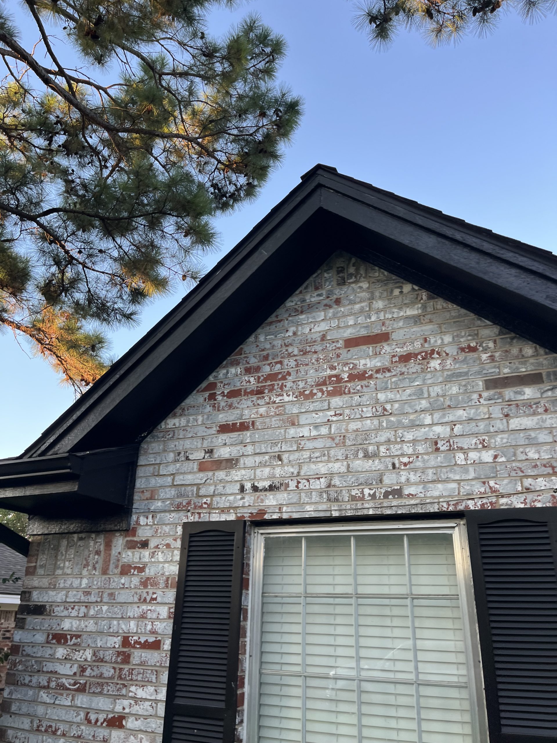 Gutter Replacement photo 8