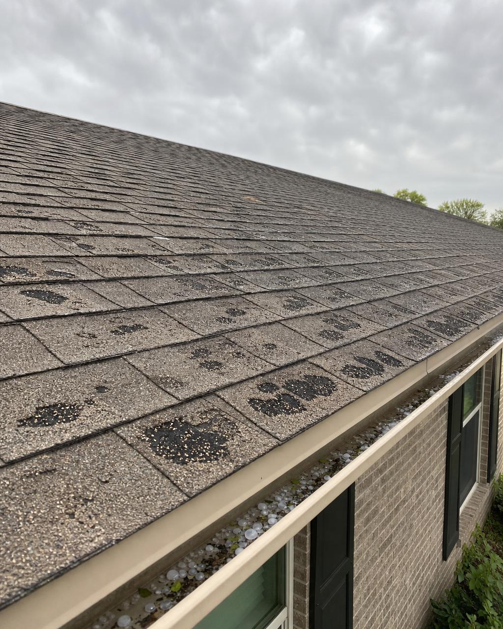 Hail bruised shingles and hailstones in the gutter of a Joshua, TX home